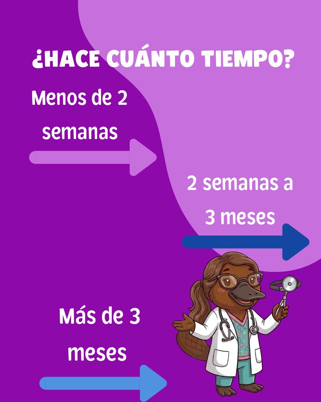 ¿Hace cuánto tiempo? Tres opciones